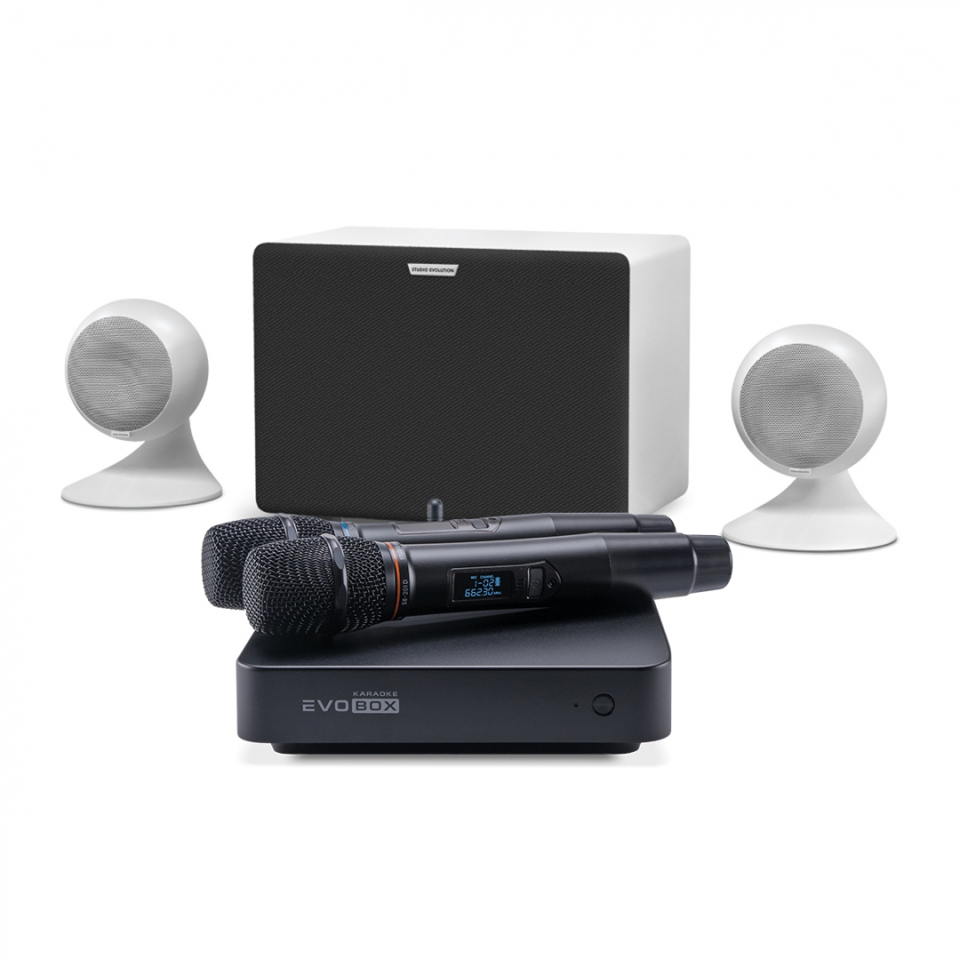 караоке-комплект EVOBOX Classic + EvoSound Sphere 2.1 в Шарье
