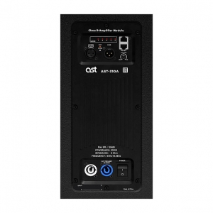 Активная акустическая система AST-310A в Шарье